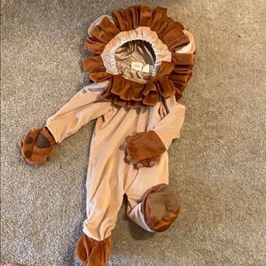 Lion costume
